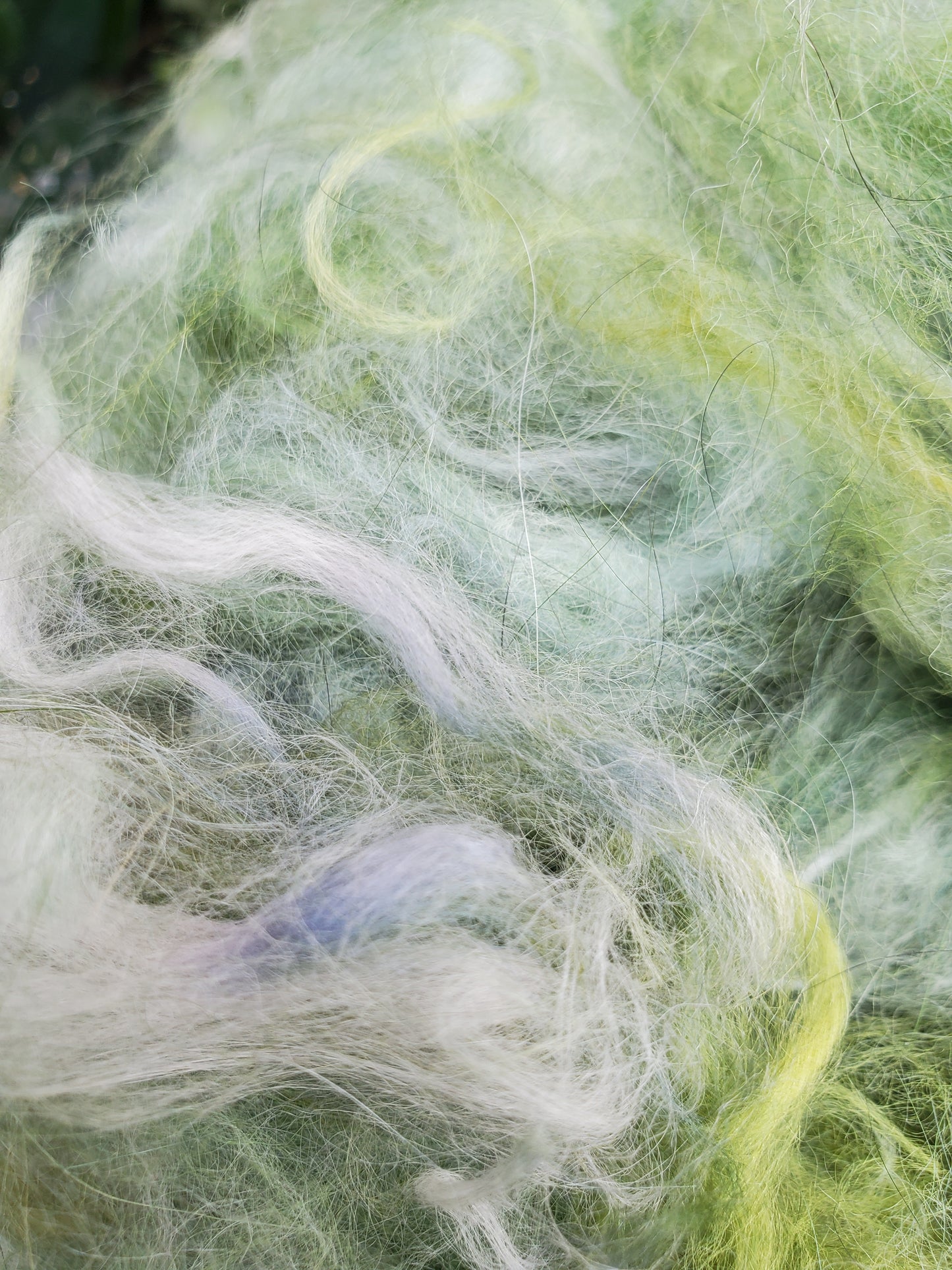 Mischievous Marsh Angora Cloud
