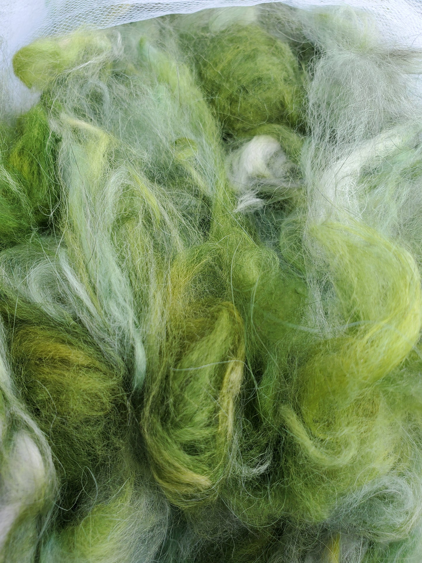 Mischievous Marsh Angora Cloud