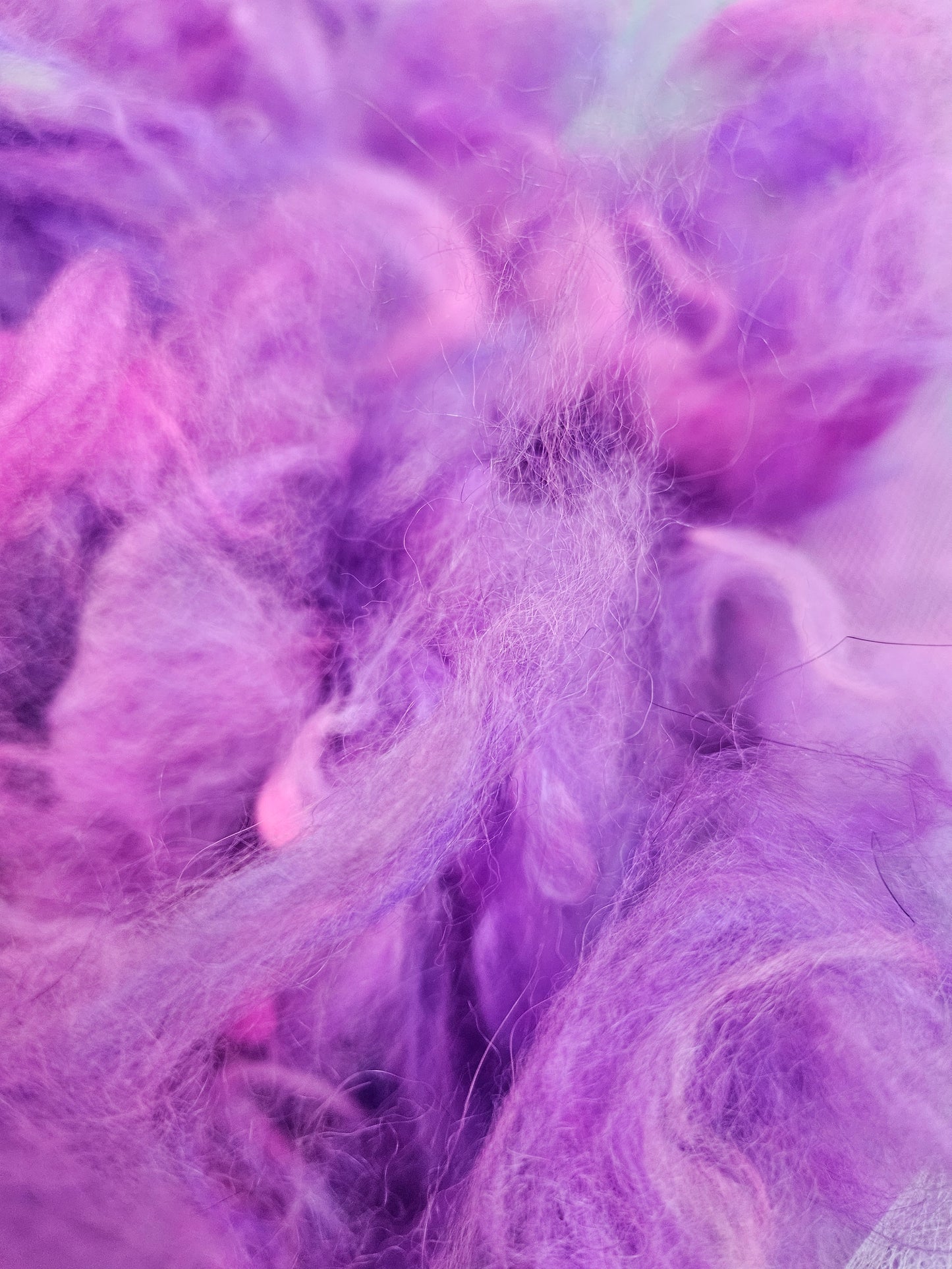 Purpluseous Angora Cloud