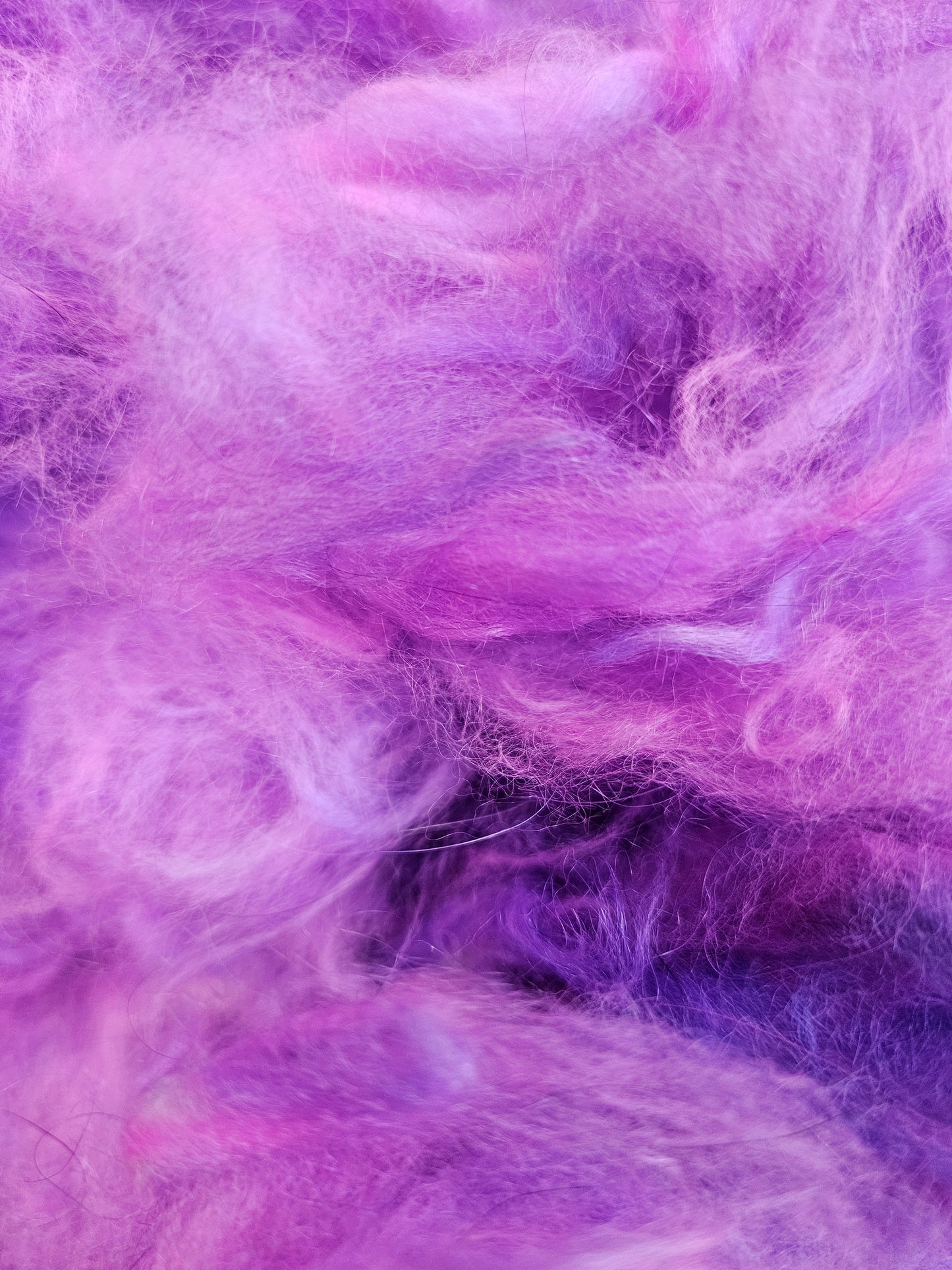 Purpluseous Angora Cloud
