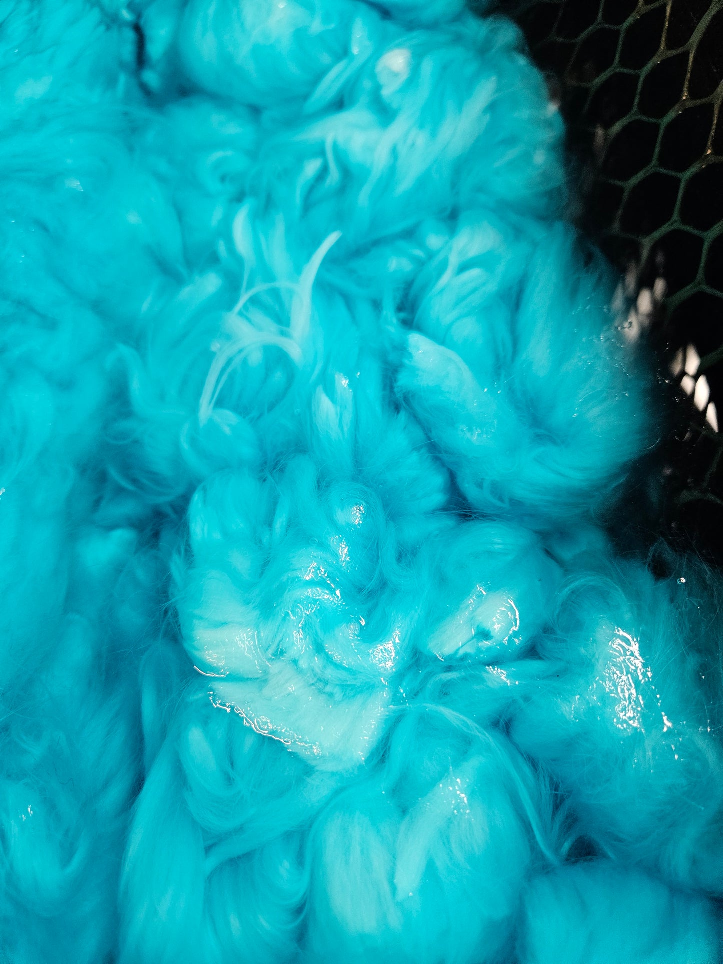Blue Me Away Bunny Cloud