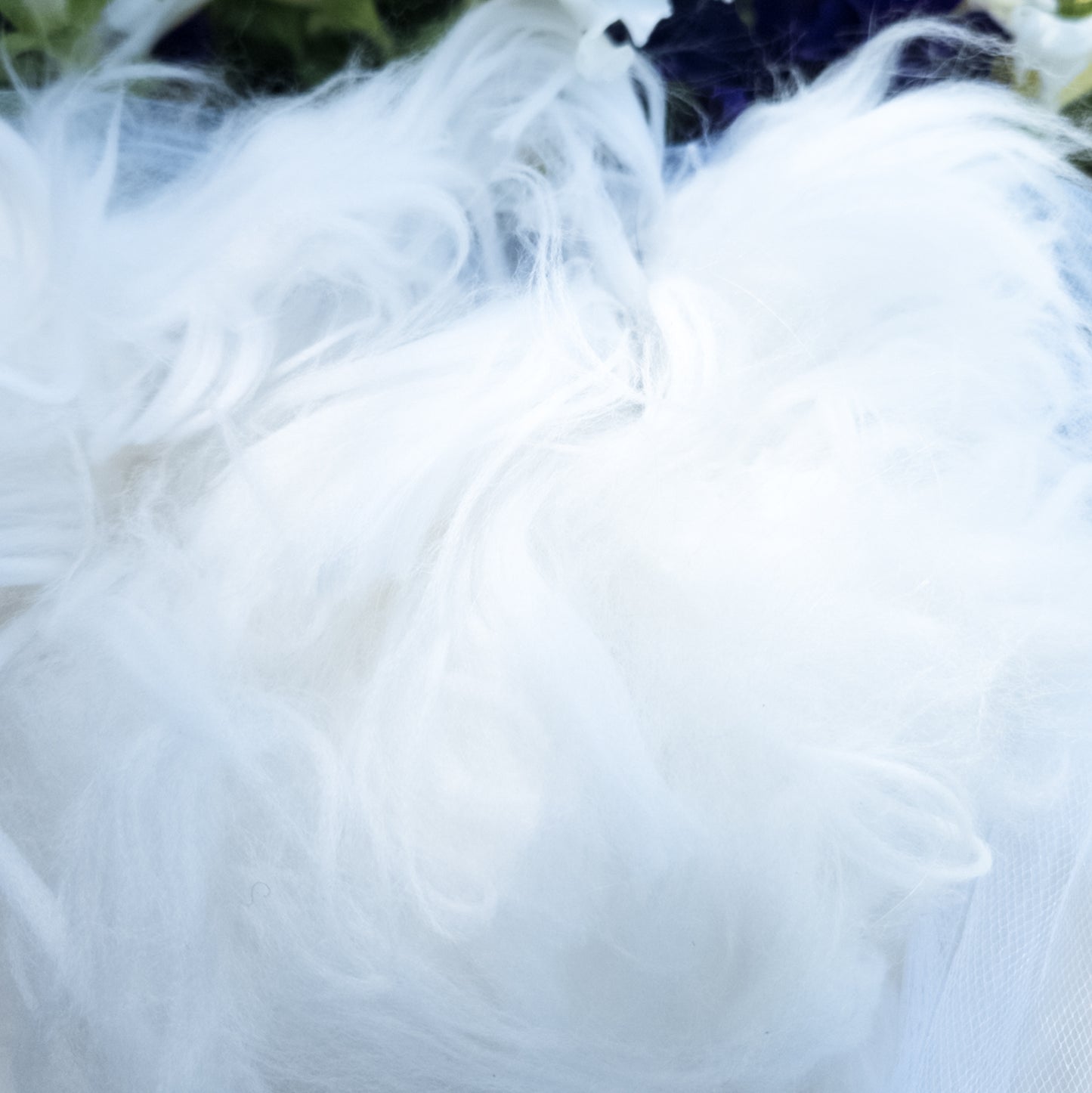 Angora fiber ~ Raw Wistful White