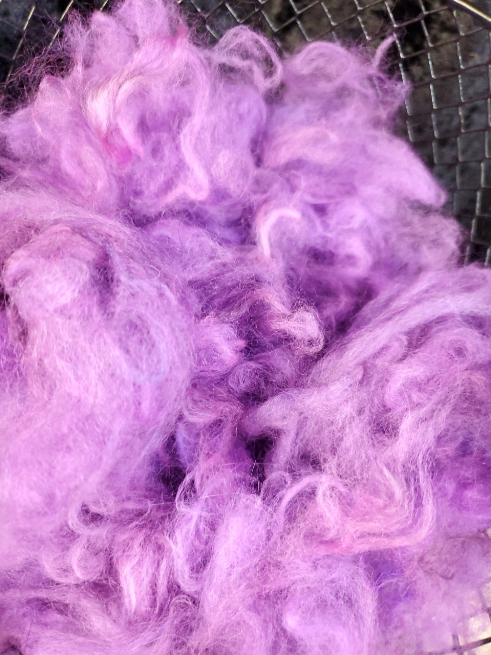 Purplesly Angora Spinning Kit