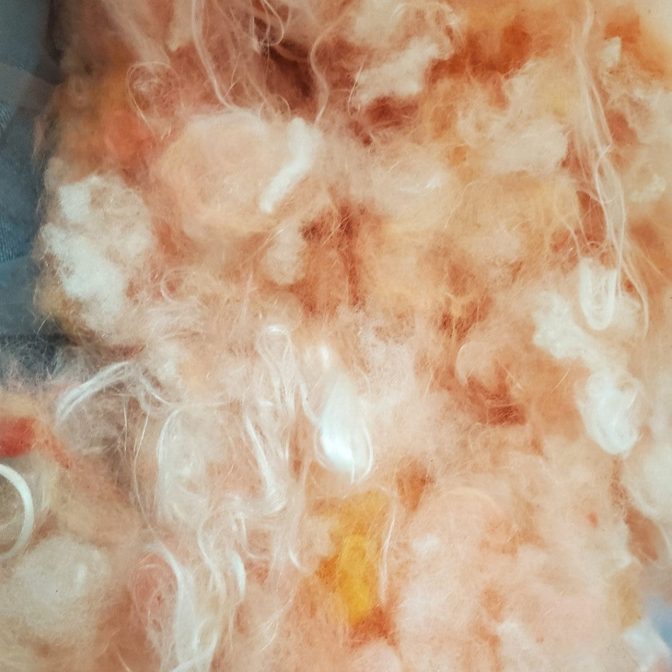Purplesly Angora Monthly Mailer