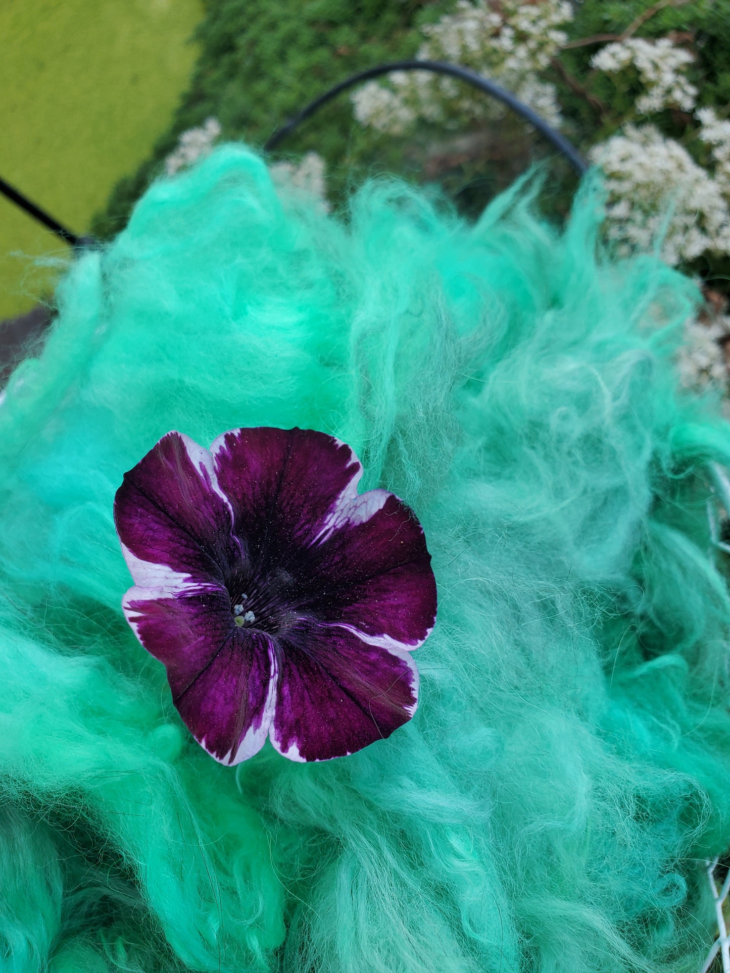 Glacial Green Angora Cloud