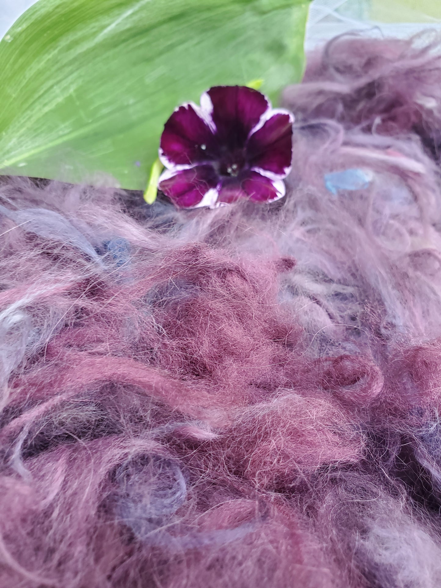 Plum Purplexity Angora Cloud