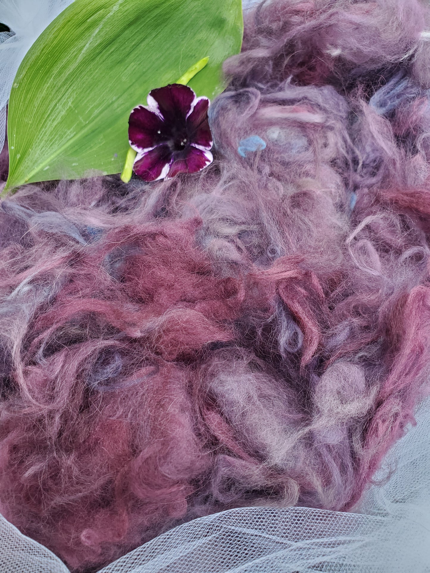 Plum Purplexity Angora Cloud