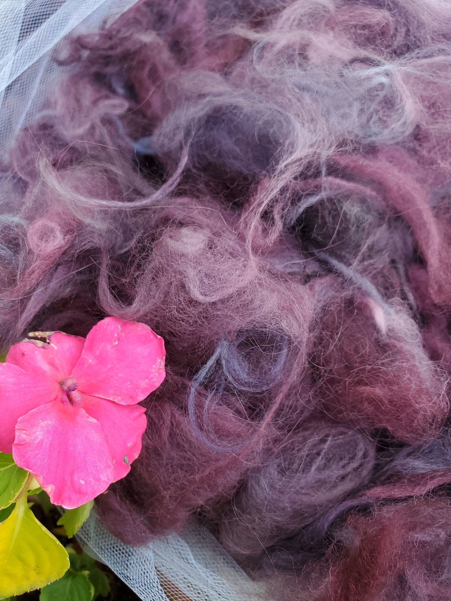 Plum Purplexity Angora Cloud