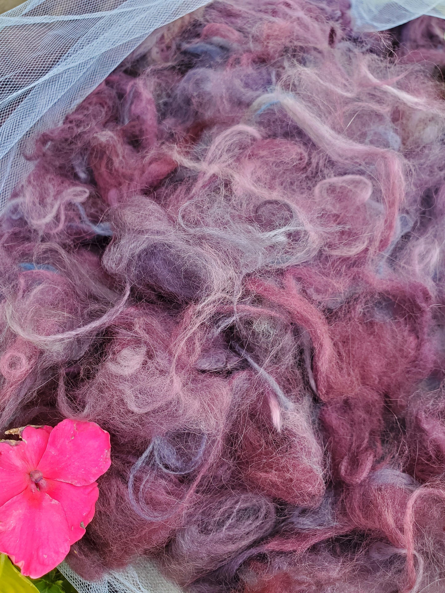 Plum Purplexity Angora Cloud