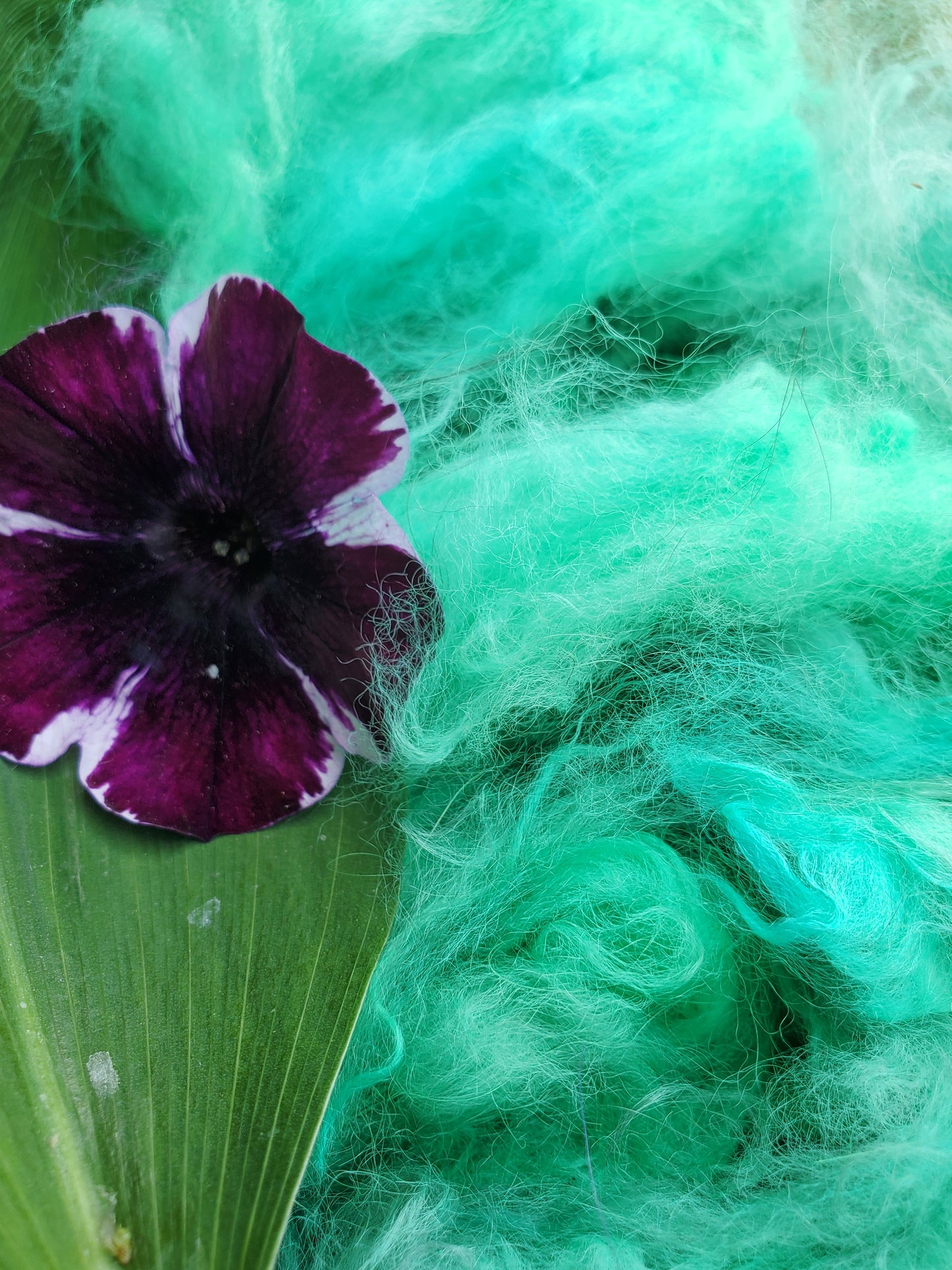 Glacial Green Angora Cloud