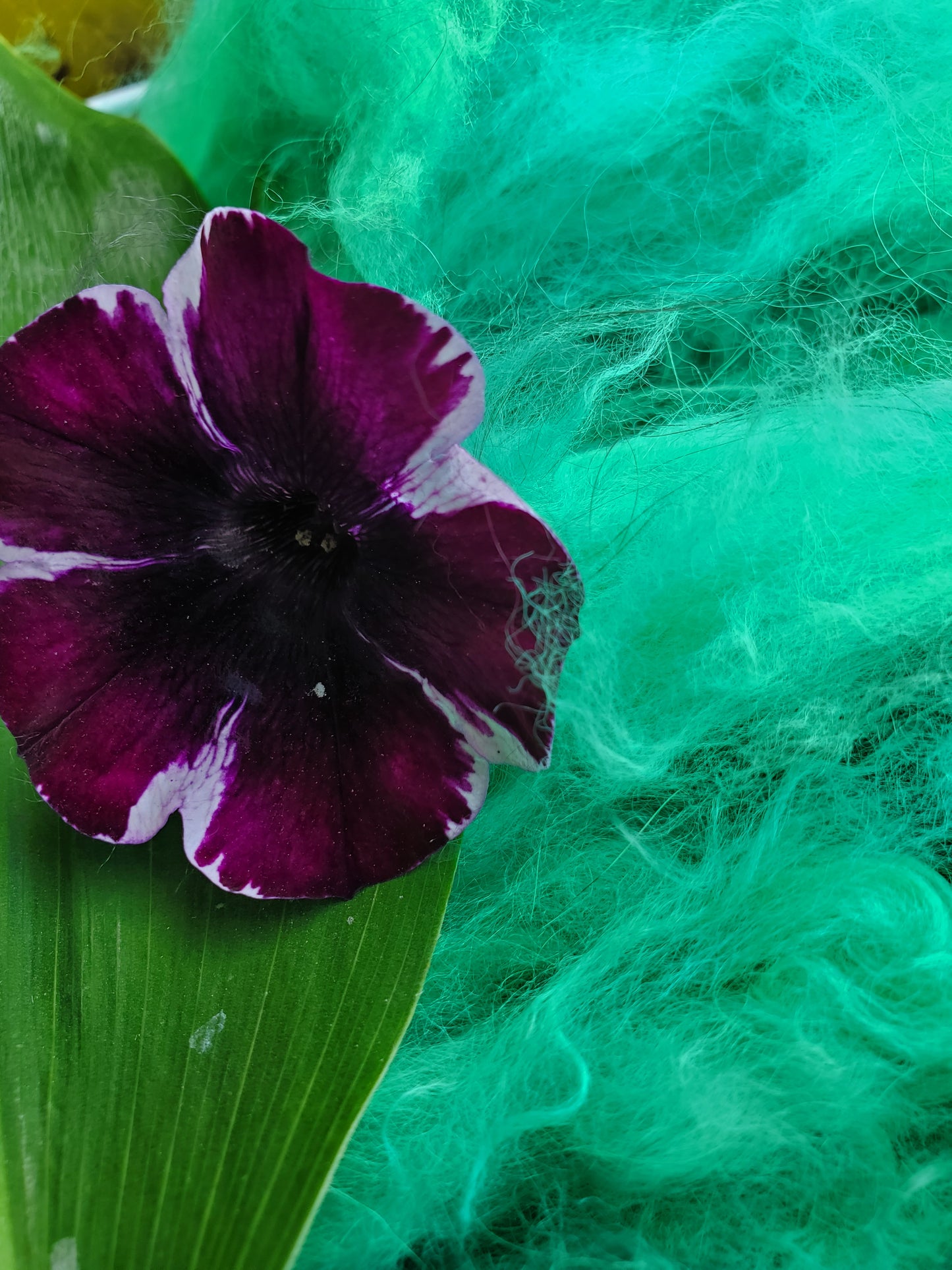 Glacial Green Angora Cloud