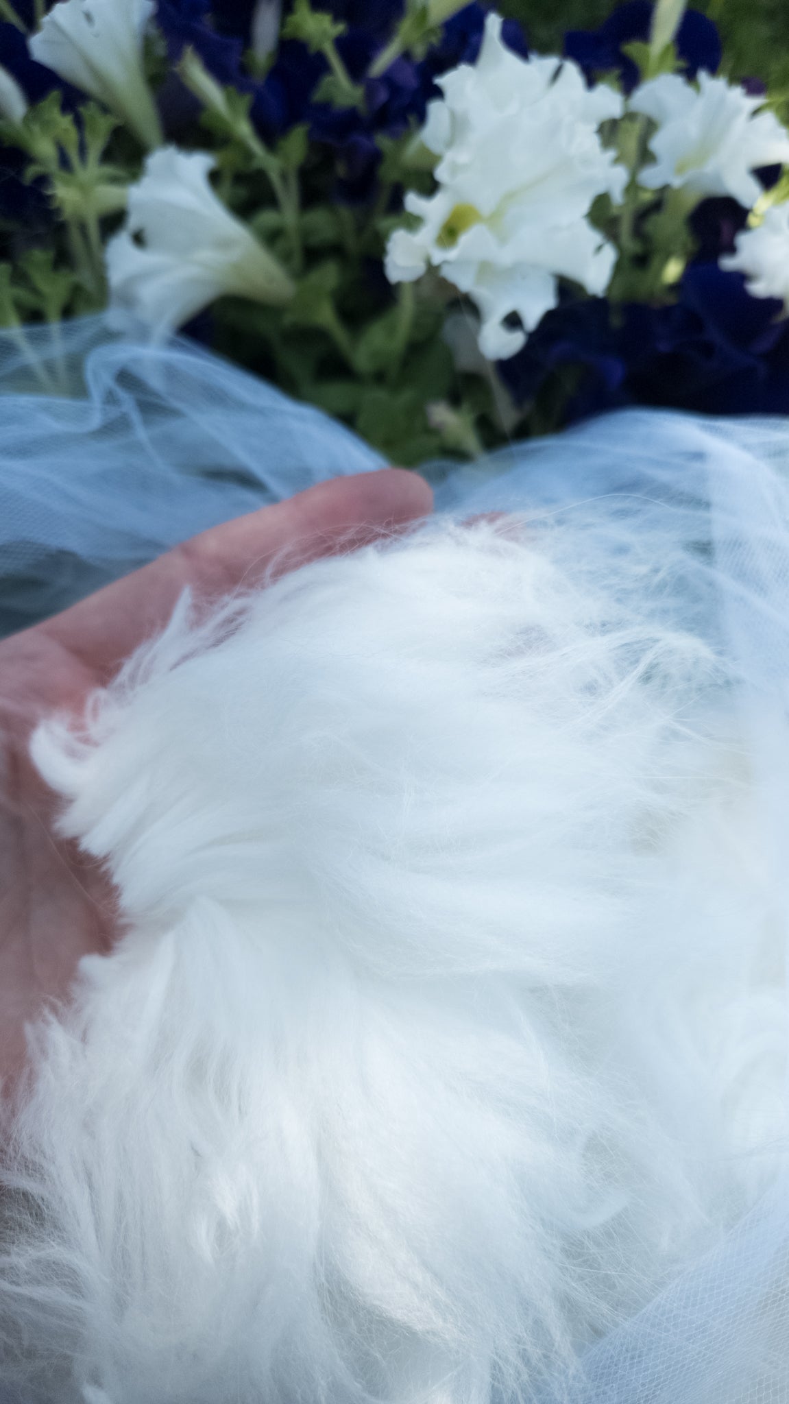 Fleece to Farm Fluff