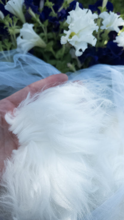 Fleece to Farm Fluff