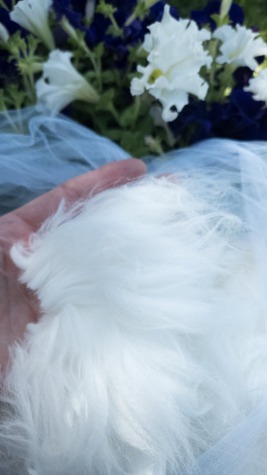 Fleece to Farm Fluff
