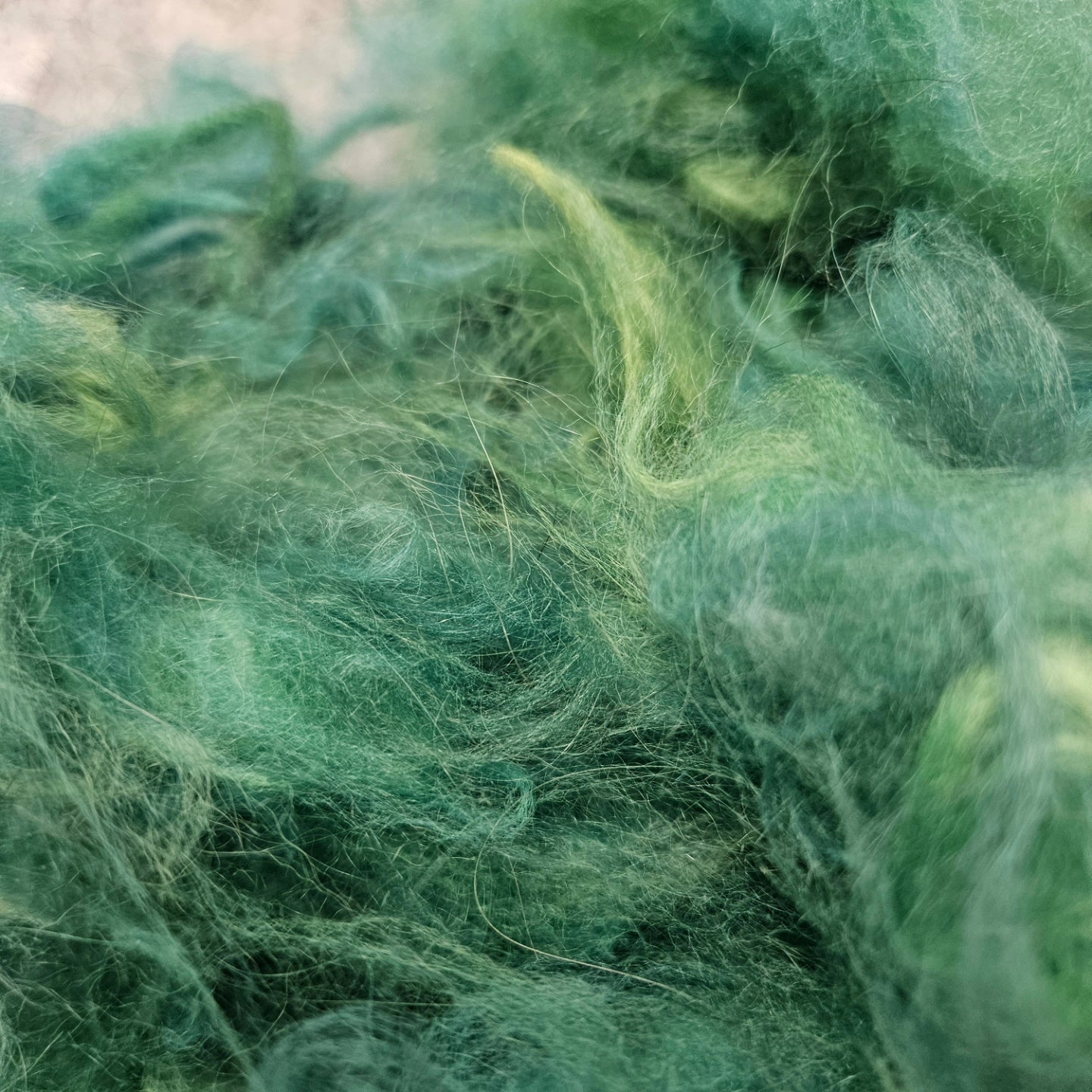 This Green Angora Cloud