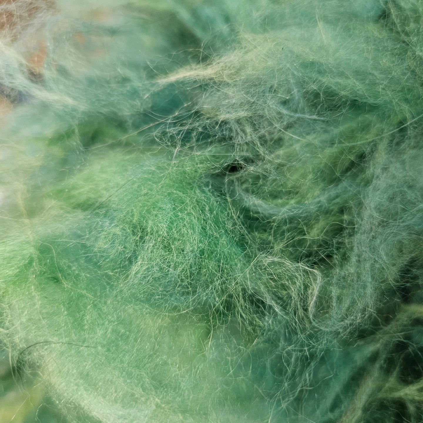 This Green Angora Cloud